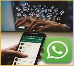santrans-email-whatsapp